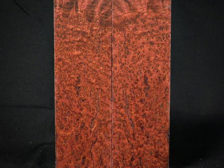 #2210 - RedRum Black Ash Burl Supply