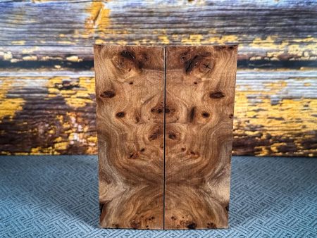 #2424 - Red Elm Burl Discount