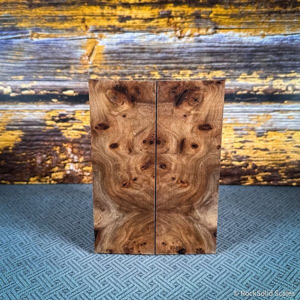 #2424 - Red Elm Burl Discount