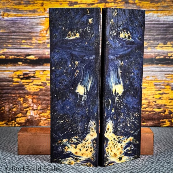 #2345 - Navy Blue Yellow Cedar Burl Hot on Sale