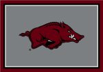 University of Arkansas Rug Team Spirit Cheap