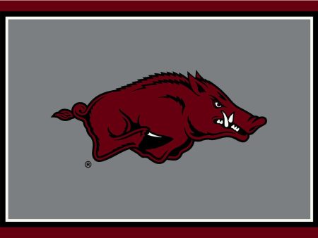 University of Arkansas Rug Team Spirit Cheap