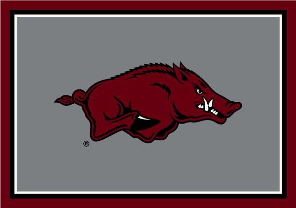 University of Arkansas Rug Team Spirit Cheap