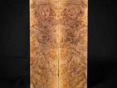 #2244 - Spalted Maple Burl Online