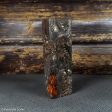 #2394 - Neon Orange and Black Doube Dyed Yellow Cedar Burl Block Cheap