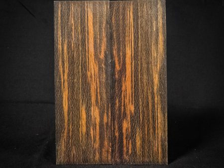 #2212 - Sinister Spalted Sycamore Online Hot Sale